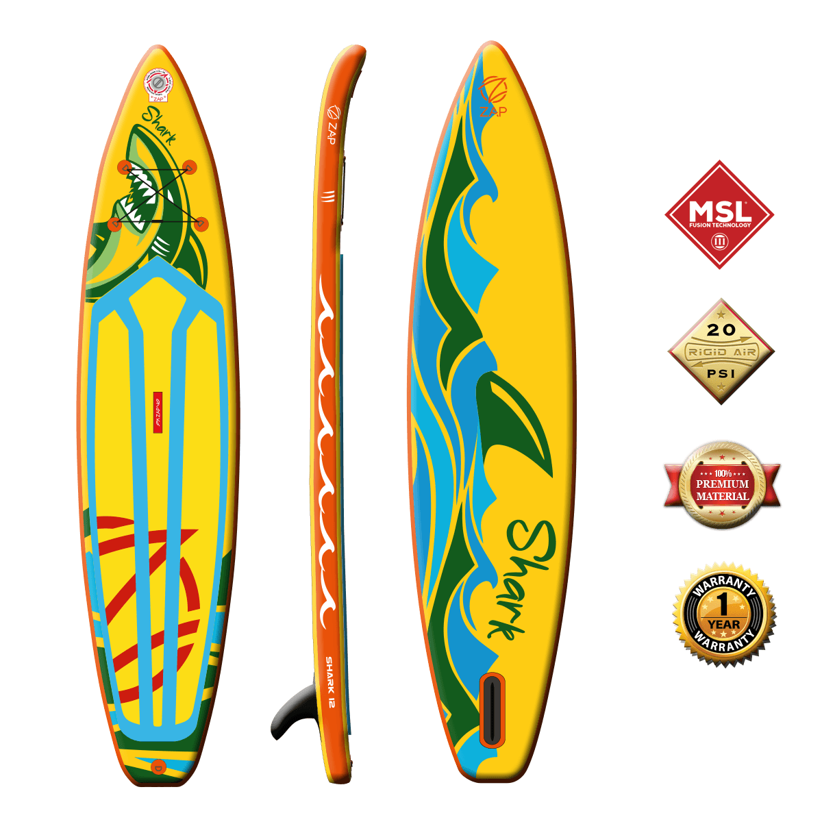 Shark12.png